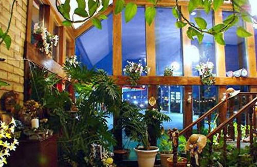 Edelweiss Inn New Braunfels Εξωτερικό φωτογραφία